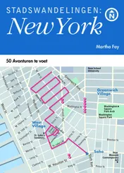 Omslag van Stadswandelingen New York