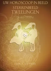 Omslag van Sterrenbeeld Tweelingen