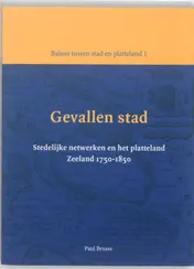 Omslag van Gevallen stad