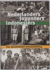 Omslag van Nederlanders Japanners Indonesiers