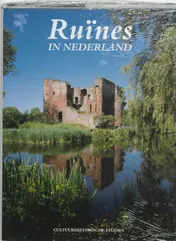 Omslag van Ruines in Nederland