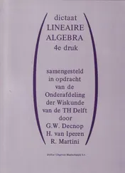 Omslag van Dictaat lineaire algebra