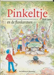 Omslag van Pinkeltje en de flonkersteen