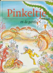 Omslag van Pinkeltje en de parels