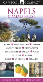 Omslag van Napels & Amalfi-kust