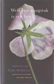 Omslag van Welk een waagstuk is een brief