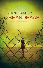 Omslag van Brandbaar