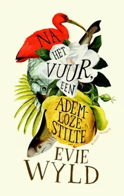 Omslag van Na het vuur, een ademloze stilte