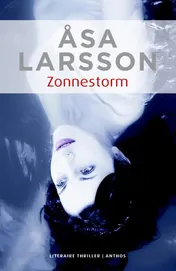 Omslag van Zonnestorm