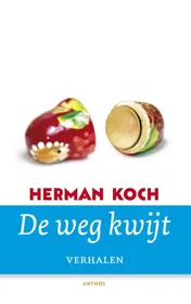 Omslag van De weg kwijt
