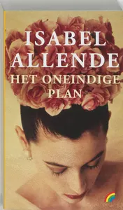 Omslag van Het oneindige plan