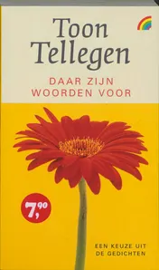 Omslag van Daar zijn woorden voor