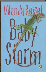 Omslag van Baby Storm