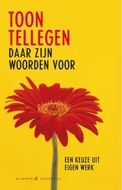 Omslag van Daar zijn woorden voor