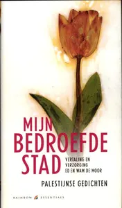 Omslag van Mijn bedroefde stad