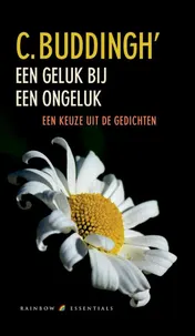 Omslag van Een geluk bij een ongeluk