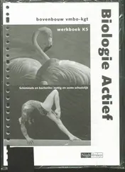 Omslag van Werkboek K5