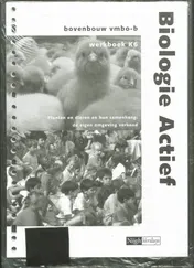 Omslag van Werkboek K6