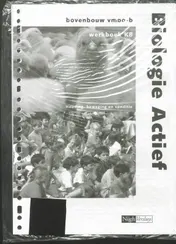 Omslag van Werkboek K8