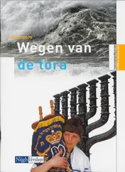 Omslag van Jodendom - Wegen van de tora