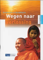 Omslag van Hindoeisme en boeddhisme - Wegen naar verlossing