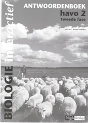 Omslag van Antwoordenboek
