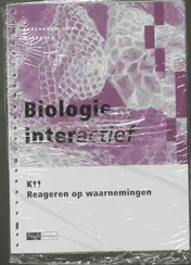 Omslag van Werkboek