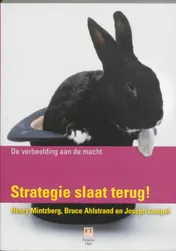Omslag van Strategie slaat terug!
