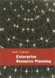 Omslag van Enterprise Resource Planning