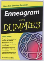 Omslag van Enneagram voor Dummies