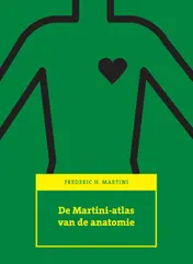 Omslag van De Martini-atlas van de anatomie