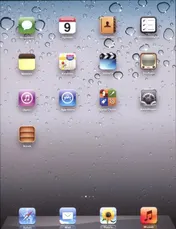 Omslag van Het iPad 2 boek,