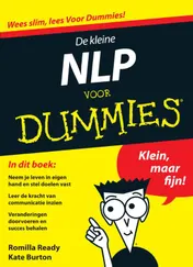 Omslag van De kleine NLP voor dummies