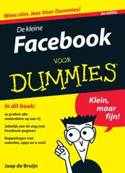 Omslag van De kleine Facebook voor Dummies