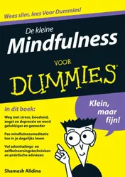 Omslag van De kleine mindfulness voor Dummies