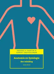 Omslag van 6e editie