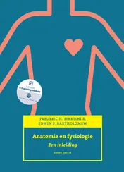 Omslag van Anatomie en fysiologie, een inleiding