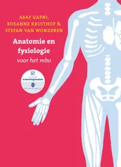 Omslag van Anatomie en fysiologie voor het MBO