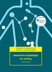 Omslag van Anatomie en fysiologie, 8e editie met MyLab NL
