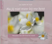 Omslag van Nu jij niet meer bij me bent