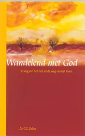 Omslag van Wandelend met God