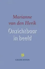 Omslag van Onzichtbaar in beeld