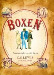 Omslag van Kronieken van het land boxen