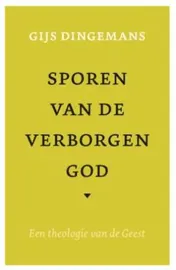 Omslag van Sporen van de verborgen god