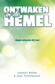 Omslag van Ontwaken in de hemel