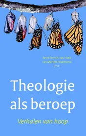 Omslag van Theologie als beroep