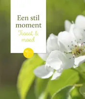 Omslag van Troost & moed