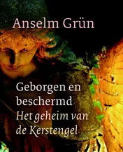 Omslag van Geborgen en beschermd
