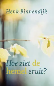 Omslag van Hoe ziet de hemel eruit?