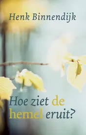 Omslag van Hoe ziet de hemel eruit?